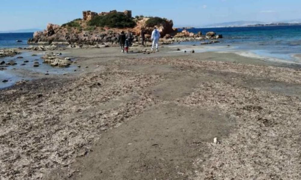 Υποχώρησε ξαφνικά η θάλασσα σε πολλές περιοχές της χώρας μας!